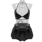 Ladies New Leather Sexy Underwear